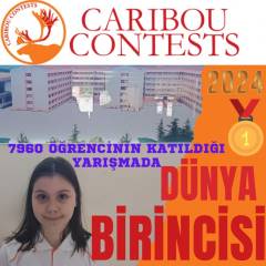Evrensel Kolej